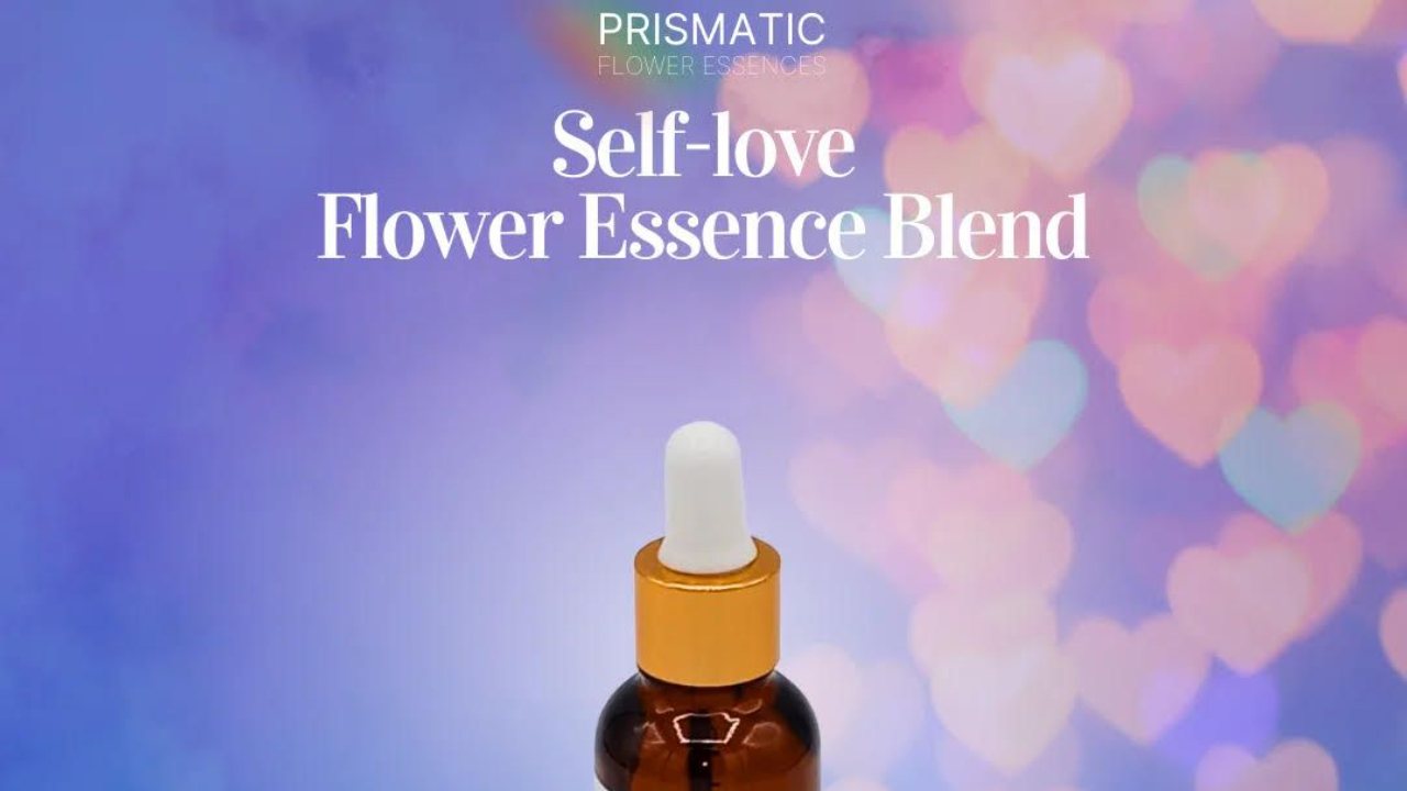 Michael Allison - Self Love Flower Essence Blend