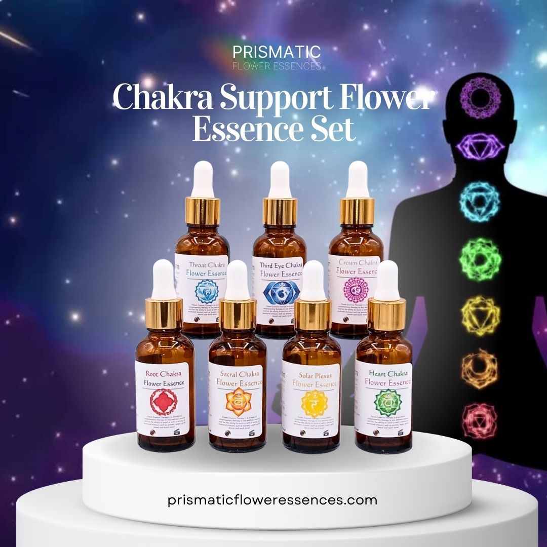 Chakra Support Flower Essence Set from Prismatic Flower Essences