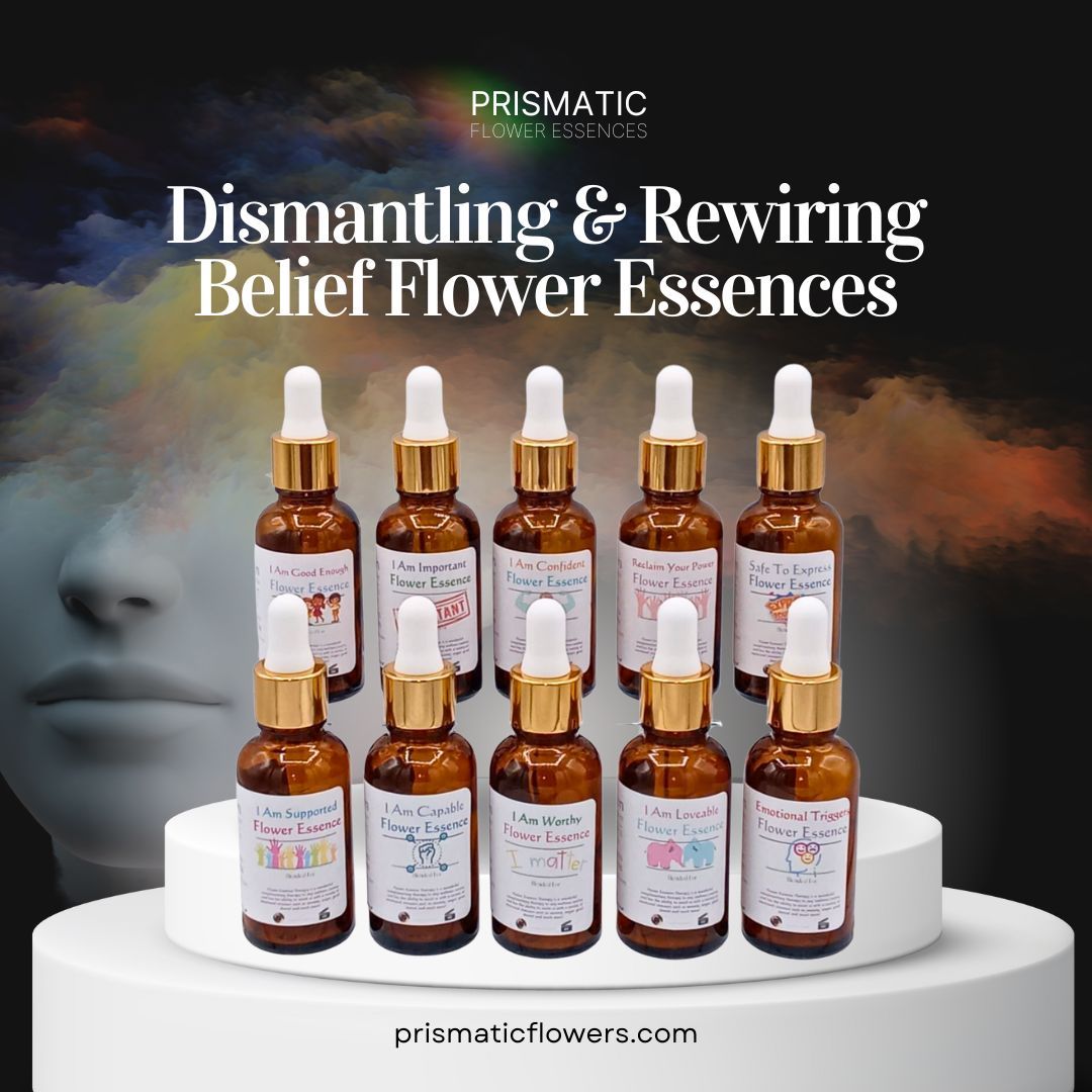 Ascension Healer Dismantling Rewiring Beliefs Set from Prismatic Flower Essences
